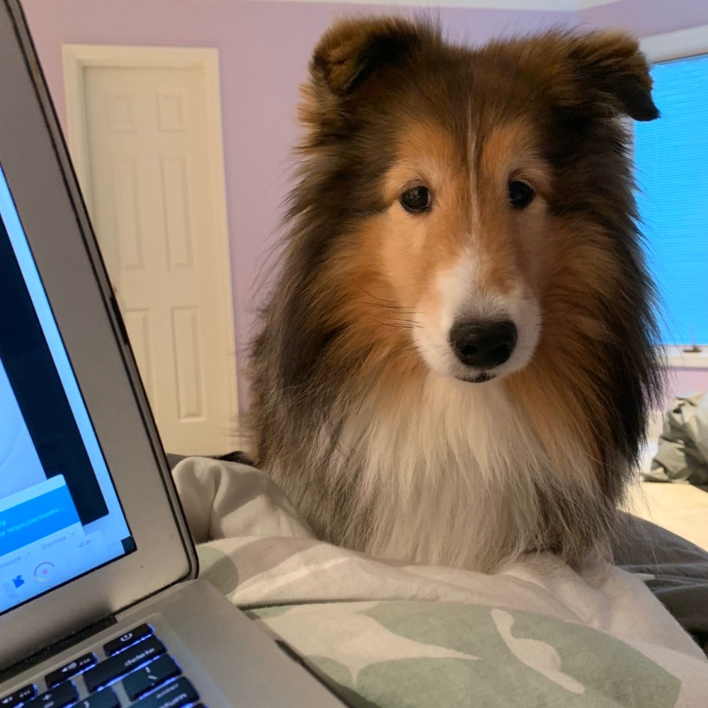 Meet your Posher, Amanda